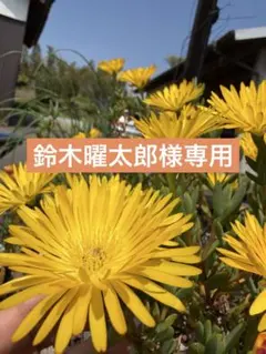 鈴木曜太郎様専用 — image 1