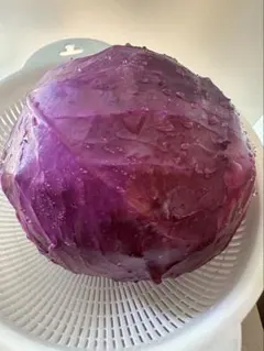 新鮮な紫キャベツ 無農薬化学肥料・除草剤不使用 — image 1
