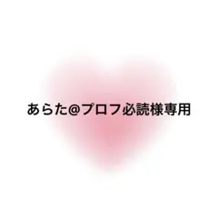 あらた@プロフ必読様専用 — image 1