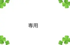 みな様　専用 — image 1