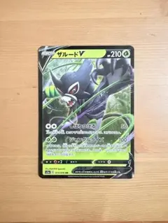 まとめ買い割引 ザルードV — image 1