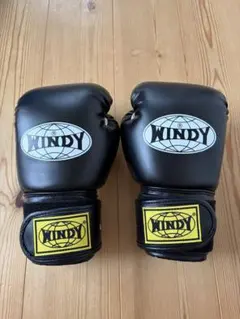 WINDY ボクシンググローブ ブラック Lサイズ — image 1