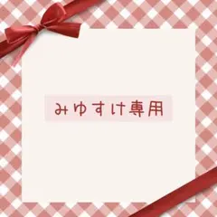 【特急発送】みゆすけ様専用 — image 1