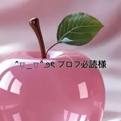 ^⩌ ̫ ⩌^౨ৎ プロフ必読様専用　2セット — image 1