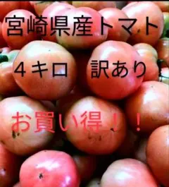宮崎県産 トマト 4kg 訳あり — image 1