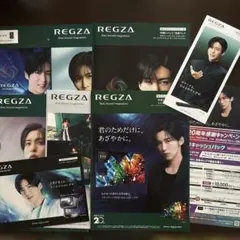 SnowMan目黒蓮さんREGZA カタログ＋キャンペーンチラシ1枚　　計9点 — image 1