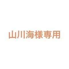 山川海様　専用 — image 1