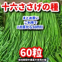 サクラ芽瑠様 リクエスト 2点 まとめ商品 — image 1