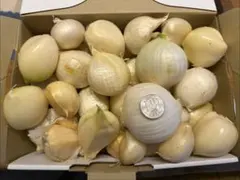 新鮮‼︎奈良県産　ジャンボニンニク　5キロ‼︎無農薬 — image 1