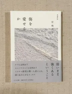 傷を愛せるか 増補新版 宮地尚子 — image 1