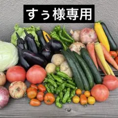 すぅ様専用 — image 1