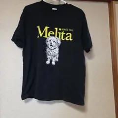 RODEO CROWN WlDEBOWLプリントTシャツ — image 1
