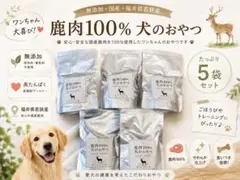 【再販倍量‼️】鹿肉ステーキ100g〈5個セット〉【500g】 — image 1