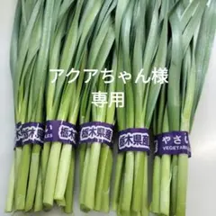 ニラ　A品 5束　約550g — image 1
