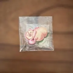 【未使用】こびとづかん カクレモモジリ アクリルスタンド — image 1