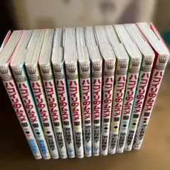 ハコイリのムスメ 13巻セット — image 1