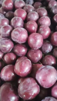 BLT様 専用出品 — image 1