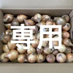 20㌔淡路島産玉ねぎ(ターザン)訳あり — image 1