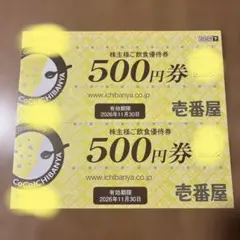 CoCo壱番屋優待券1000円分 — image 1