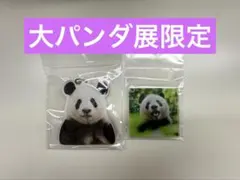 【大パンダ展限定】シャンシャン　アクリルキーホルダー　マグネット — image 1