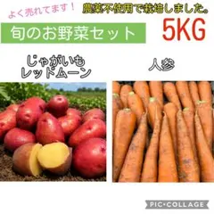 農薬不使用 お野菜セット 5kg　新じゃがいも　人参　レッドムーン — image 1