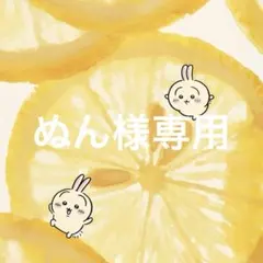 ぬん様専用 — image 1
