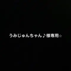 うみじゅんちゃん♪様専用⭐︎ — image 1