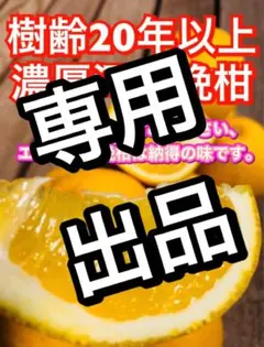 ふっか様専用 — image 1