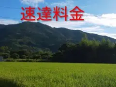 にゃん★様　速達料金 — image 1