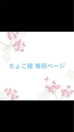 ちょこ様 専用ページ — image 1