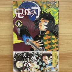 鬼滅の刃　5巻　希少帯　激レア帯　冨岡義勇　この美しさが、切ない — image 1