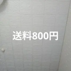 送料800円 — image 1