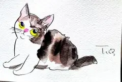 ドローイング水彩画子キジトラ猫 — image 1