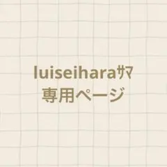 luiseiharaサマ専用ページ — image 1
