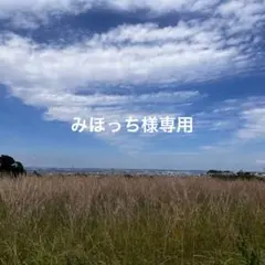 みほっち様専用ページ — image 1