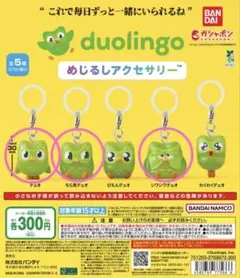 duolingo めじるしアクセサリー　3点セット — image 1