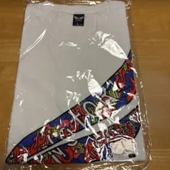 B'z LIVE-GYM Pleasure 2018 HINOTORI — image 1