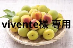 vivente様 連絡専用 — image 1