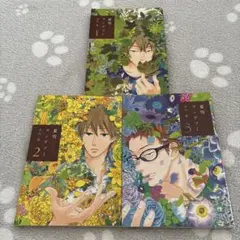 夏雪ランデブー　1〜3巻 — image 1