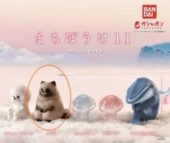 【まちぼうけ11】【新品未開封】ミズクラゲ狙い→たぬき3連敗 — image 1