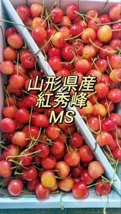 【特価品】山形県産 さくらんぼ 紅秀峰 MS丸秀 1kg — image 1