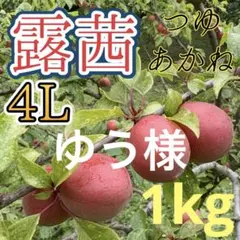 41 ゆう様　露茜　特大4Lサイズ — image 1