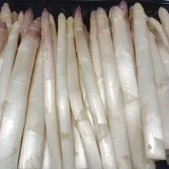 ホワイトアスパラガスB級品【700g】 露地栽培 — image 1