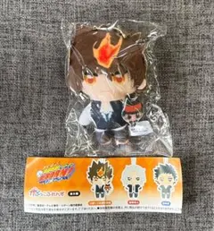 沢田綱吉　リボーン　かぷっこふれんず — image 1