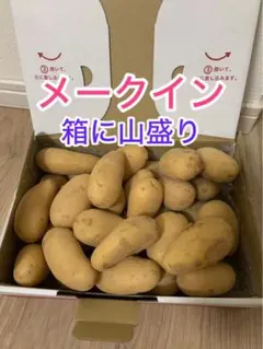 メークイン じゃがいも 箱詰め 大容量 — image 1