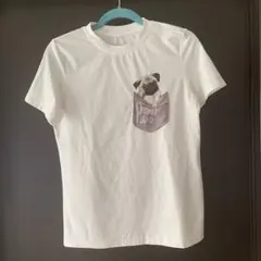 美品　レディース　Ｔシャツ — image 1