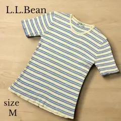 【L.L.Bean】　コットンリブニットカットソー　M マルチボーダー — image 1