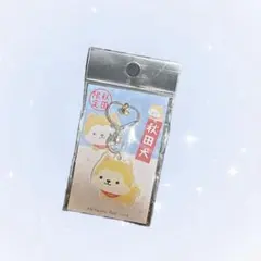 ♡ 秋田限定 秋田犬 アクリルキーホルダー ♡ — image 1