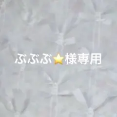 ぶぶぶ⭐️様専用 — image 1