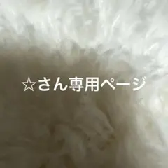 専用 — image 1